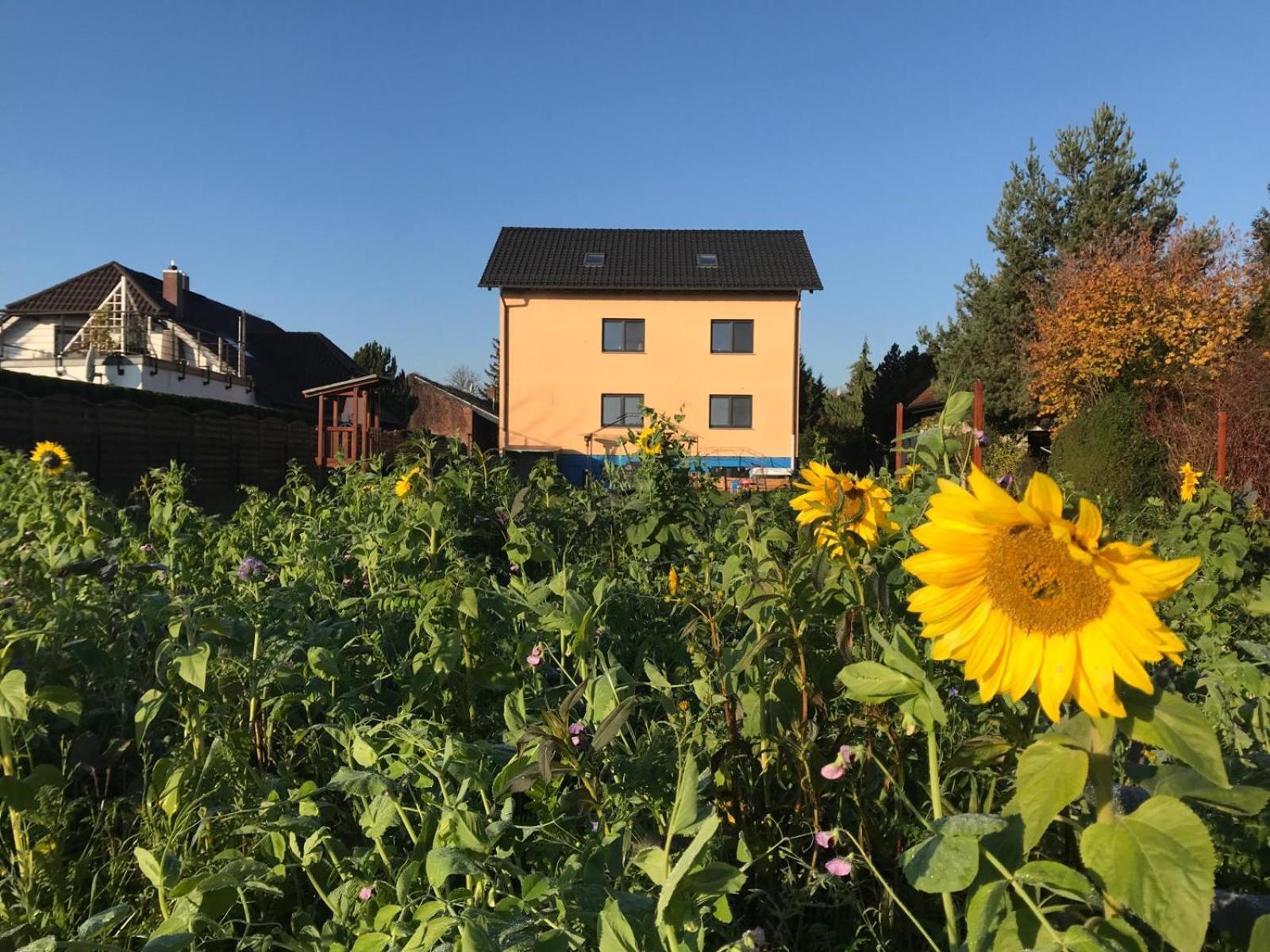 Stadt. Land. See. Ferienwohnung Leipzig Eksteriør bilde